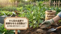 そら豆の追肥で鶏糞を与える回数は？施す時期と肥料不足のサイン