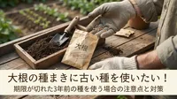 大根の種まきに古い種を使いたい！期限が切れた3年前の種を使う場合の注意点と対策