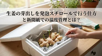 生姜の芽出しを発泡スチロールで行う仕方と新聞紙での温度管理とは？