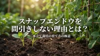 スナップエンドウを間引きしない理由とは？二本立て栽培の育て方の極意
