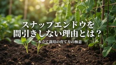 スナップエンドウを間引きしない理由とは？二本立て栽培の育て方の極意