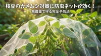 枝豆のカメムシ対策に防虫ネットが効く！無農薬で守る完全予防法
