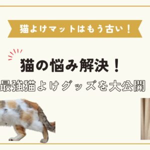猫の悩み解決