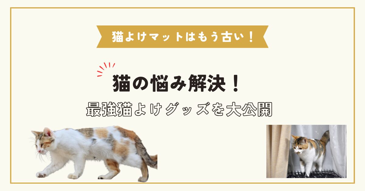 猫の悩み解決