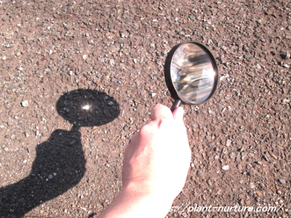 レンズ効果を虫メガネを使って実験