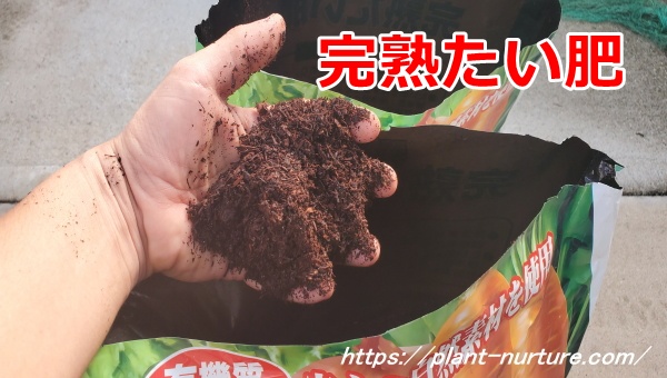 完熟した牛糞たい肥を畑に撒く