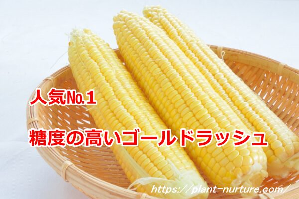 人気の品種ゴールドラッシュ