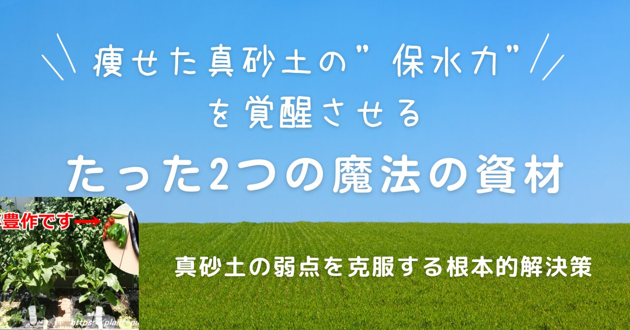 真砂土を土壌改良するためのたった2つの魔法の資材