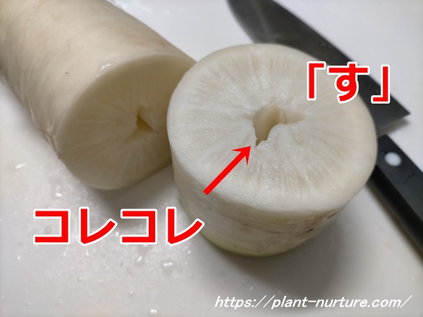 大根にすが入った状態