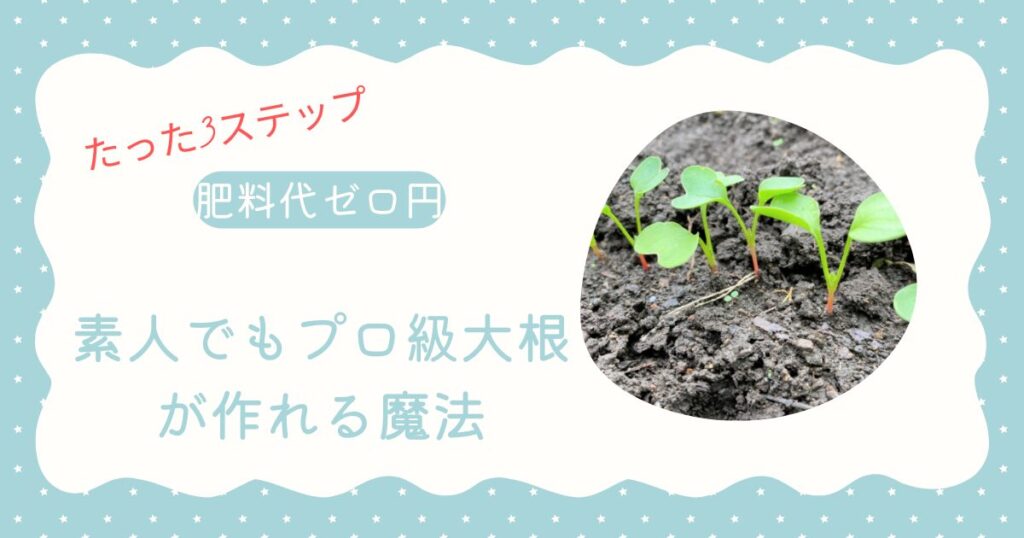 大根に肥料っていらないの？たった3つのコツで劇的に変わる栽培法